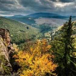 Los bosques de Alemania son ideales para trekking, en especial El parque nacional de Harz.