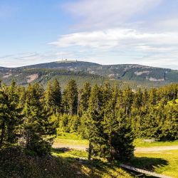 El parque nacional alemán Harz cambia de paisaje según la estación del año.