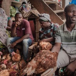 Vendedores de pollos hablan con sus clientes en el mercado de Nyawera, en Bukavu, al este de la República Democrática del Congo. | Foto:Guerchom Ndebo / AFP