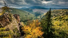 Los bosques de Alemania son ideales para trekking, en especial El parque nacional de Harz.