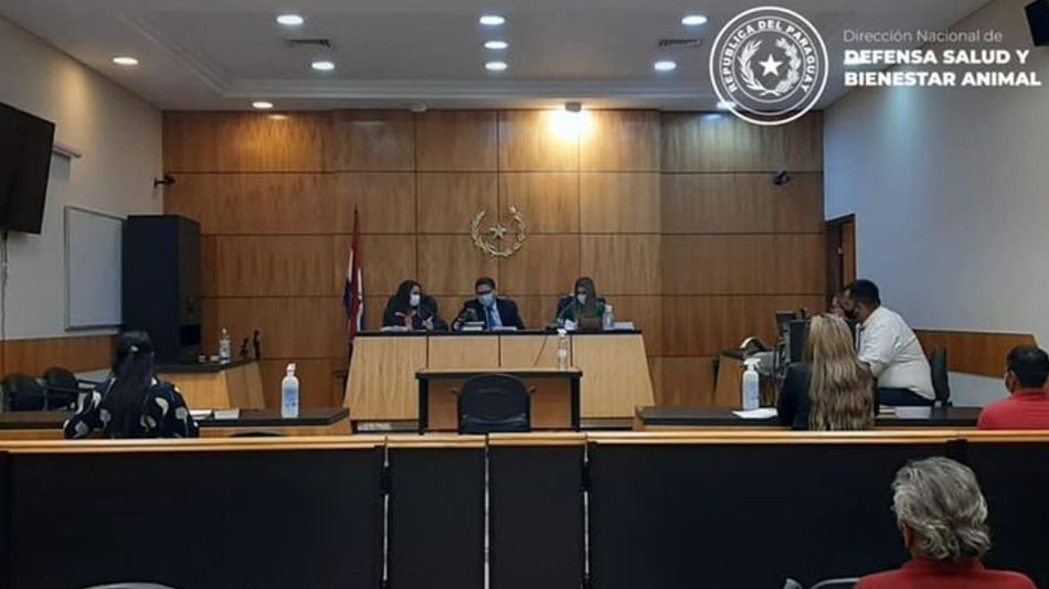 Paraguay: comenzó el juicio contra un hombre acusado de haber abusado sexualmente de una gallina