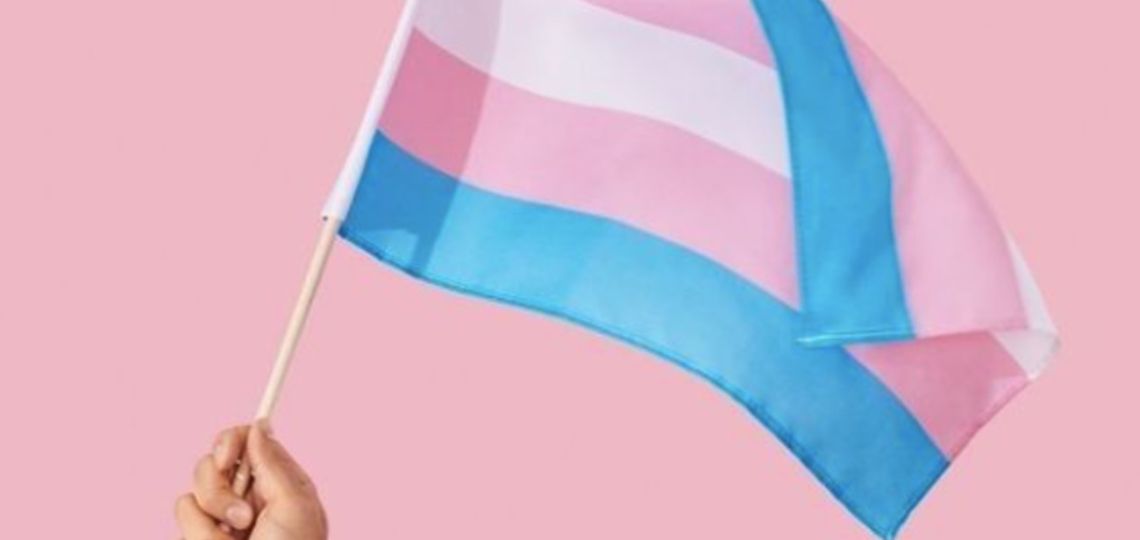 Por qué es importante conocer la Ley de Cupo Laboral Travesti Trans 