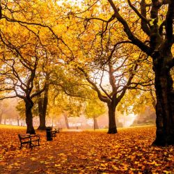 Puntualmente, el otoño comienza con el inicio del primero de los dos equinoccios del año.