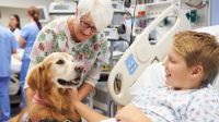 Las mascotas que visitan a sus dueños en la internación ayudan a la recuperación