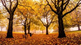 Puntualmente, el otoño comienza con el inicio del primero de los dos equinoccios del año.