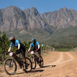 Los ciclistas pedalean por senderos a través de viñedos durante la primera etapa de la carrera por etapas Cape Epic 2022 en las montañas por encima de Somerset West, a unos 60 km de Ciudad del Cabo. | Foto:RODGER BOSCH / AFP
