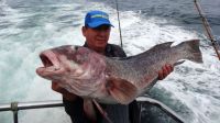 2203_pesca
