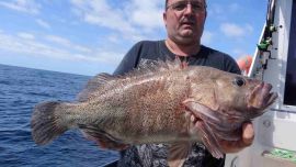 Los combates están asegurados.