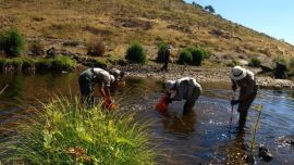 La medida busca ampliar la mencionada zona libre que, actualmente, incluye a la cuenca alta del río Limay y al embalse Alicurá.