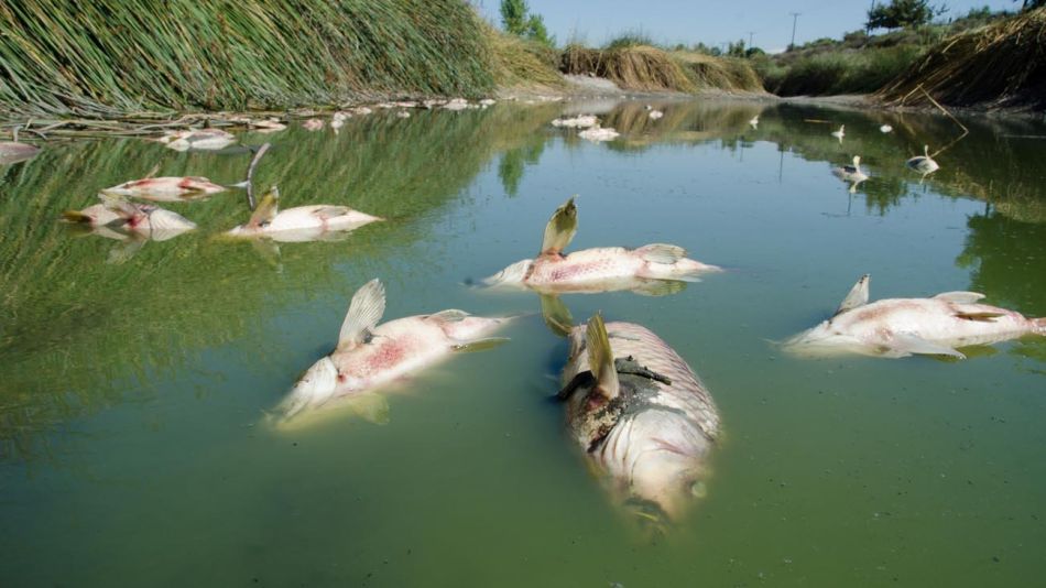 Asunto día mundial del agua 20220322