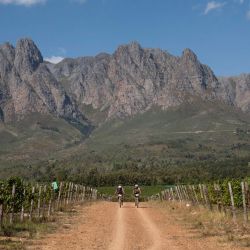 Los ciclistas pedalean por senderos a través de viñedos durante la primera etapa de la carrera por etapas Cape Epic 2022 en las montañas por encima de Somerset West, a unos 60 km de Ciudad del Cabo. | Foto:RODGER BOSCH / AFP