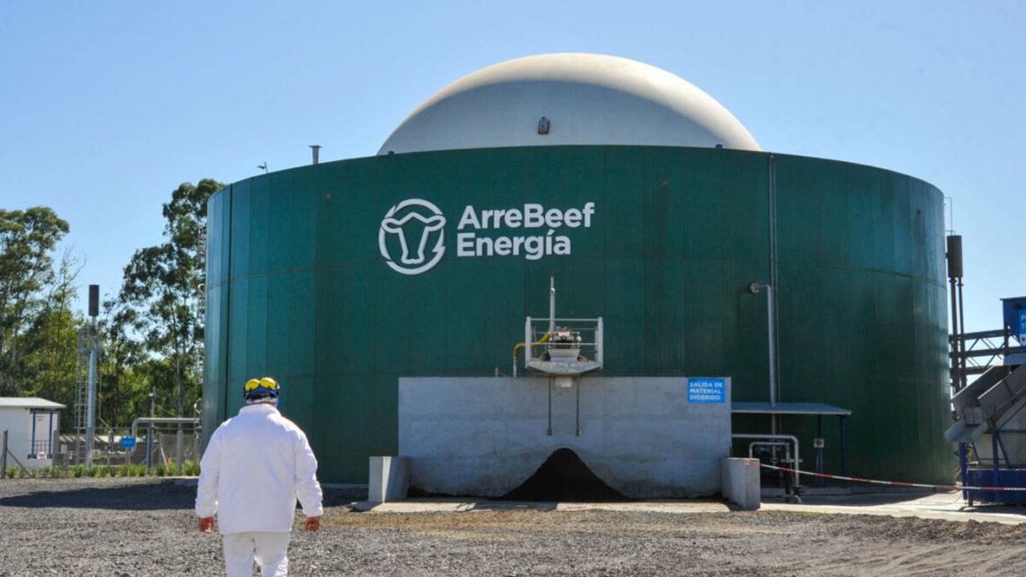 Argentina’s ArreBeef is pioneering the use of animal wastes to produce biogas as a way to reduce emissions from the livestock industry. The biogas is produced in this biodigester, then burnt to create electricity for the national grid.