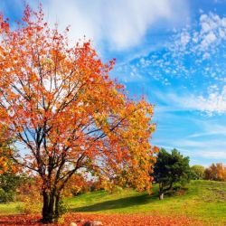 Se prevé un otoño con temperaturas por encima de lo normal.