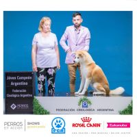 Durban Dogs