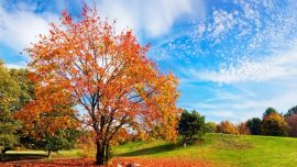 Se prevé un otoño con temperaturas por encima de lo normal.