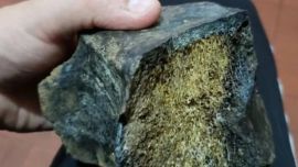 El toxodon era un animal muy parecido al actual hipopótamo.