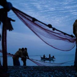 Los pescadores participan en la pesca tradicional de poutine en Cagnes-sur-Mer, sureste de Francia. Las poutine son pequeñas sardinas pequeñas que se pescan exclusivamente entre Antibes y Menton en la riviera francesa. | Foto:AFP