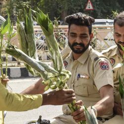 Personal policial revisa plantas de bambú decorativas en macetas de vidrio vendidas por un vendedor ambulante en Amritsar. NARINDER NANU / AFP | Foto:AFP
