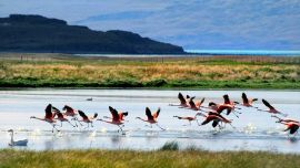 Se trata de la segunda reserva natural que fue creada en el país.
