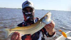 La temporada es muy prometedora.