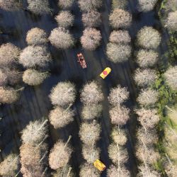 Vista aérea del paisaje primaveral en un parque de humedales en Yangzhou, en la provincia de Jiangsu, en el este de China. | Foto:Xinhua/Meng Delong