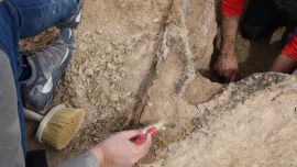 A pesar del paso del tiempo, la embarcación se encontraba mayormente en perfecto estado de conservación.