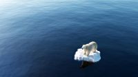 Cambio Climático 20220406