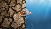 Cambio Climático 20220406