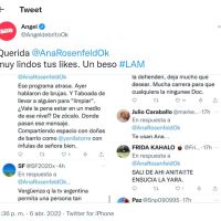 El gesto de Ana Rosenfeld que generó el enojo de Ángel de Brito