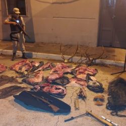En total, los tres detenidos llevaban más de 200 kilos de carne, producto de la caza furtiva, varias armas y elementos usados en la caza furtiva.