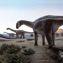 Imágen de los primeros titanosaurios que habitaron en el Municipio de Uberaba, Brasil.