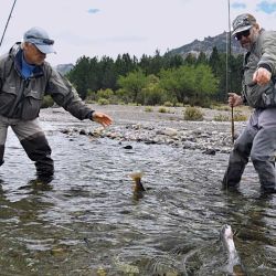 Chapa y José Luis con un doblete, marrón y arcoíris en la boca de un pequeño tributario. Ahí las truchas buscan la comida que pueda venir en el torrente.  