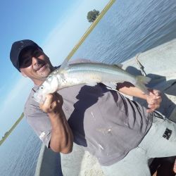 08_04_pique_mapa_pesca