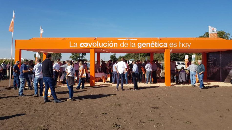 Jornada a campo del semillero KWS en Azul.