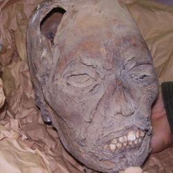 Las legendarias momias bolivianas forman parte de la colección del Museo de La Plata.