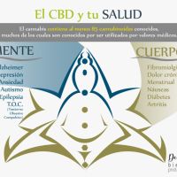 Iris: Aceite de cannabis
