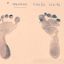President Alberto Fernández and First Lady Fabiola Yáñez announce birth of son