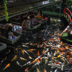 Una mujer da de comer a una carpa mientras los comensales miran en un restaurante con temática de pescado en Chiang Mai, Tailandia. | Foto:JACK TAYLOR / AFP