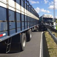 Mal momento para Susana Giménez: su sobrino sufrió un grave accidente