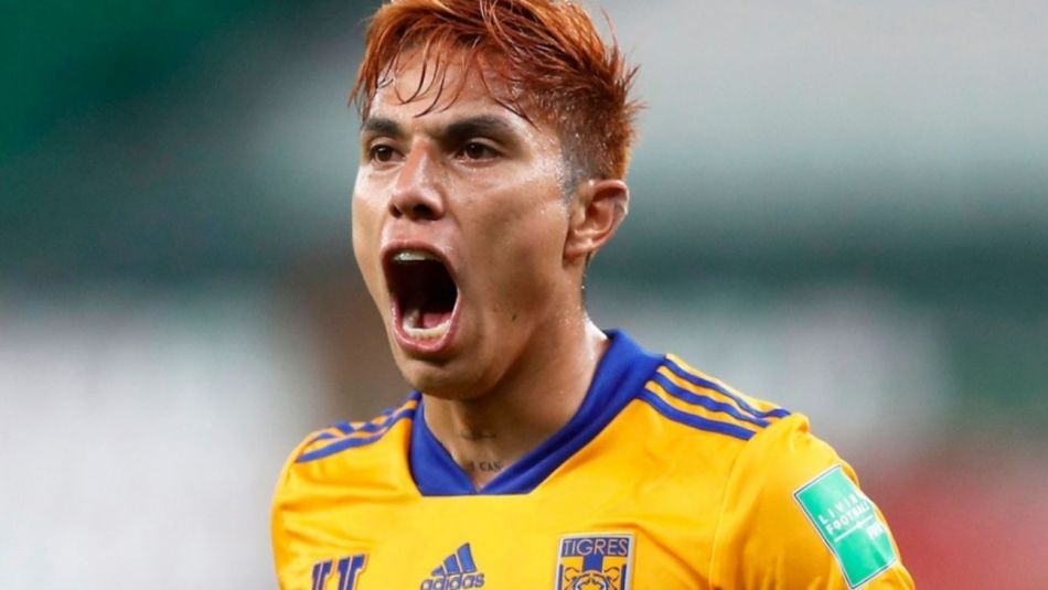 Tigres de México