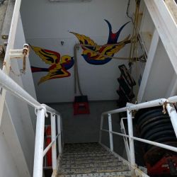 El Artic Sunrise de Greenpeace y con bandera holandesa, patrulló el océano Atlántico para denunciar la pesca indiscriminada.