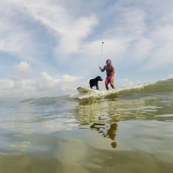 El surfista Mario Cardama Jr. y el perro Gordy surfean en una playa en la Provincia de Aurora, Filipinas. Establecido en 2016, el Colectivo Perro consiste de entusiastas del surf quienes también son amantes de los perros. Pasan su tiempo libre enseñando a sus mascotas adoptivas a montar tablas de surf en la municipalidad de Baler en la Provincia de Aurora, que es conocida localmente como "el lugar de nacimiento del surf filipino". | Foto:Xinhua/Rouelle Umali