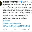 Ricardo Montaner subió una foto de Índigo y reveló el motivo de su angustia