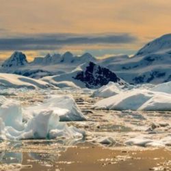 Los sensores ubicados en rocas costeras también registraron 14 grados Celsius en las zonas cercanas a los glaciares