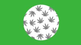 Día de la Marihuana 20220421