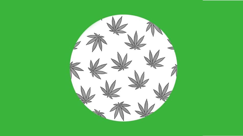 Día de la Marihuana 20220421