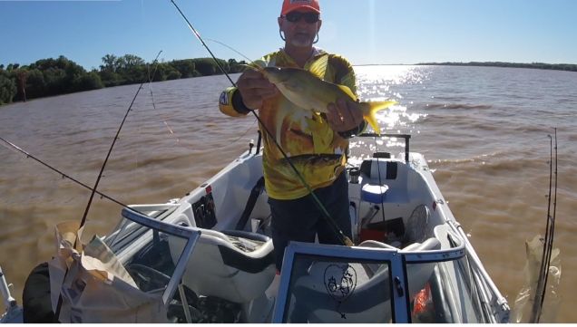 2504_pesca