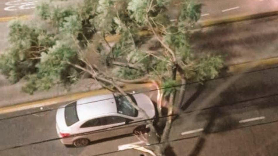 20220427 Lo que dejó la tormenta con alerta naranja y roja