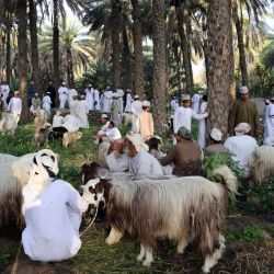 Omaníes se reúnen mientras se venden cabras para preparar la festividad del Eid al-Fitr en la zona de Surur. | Foto:MOHAMMED MAHJOUB / AFP
