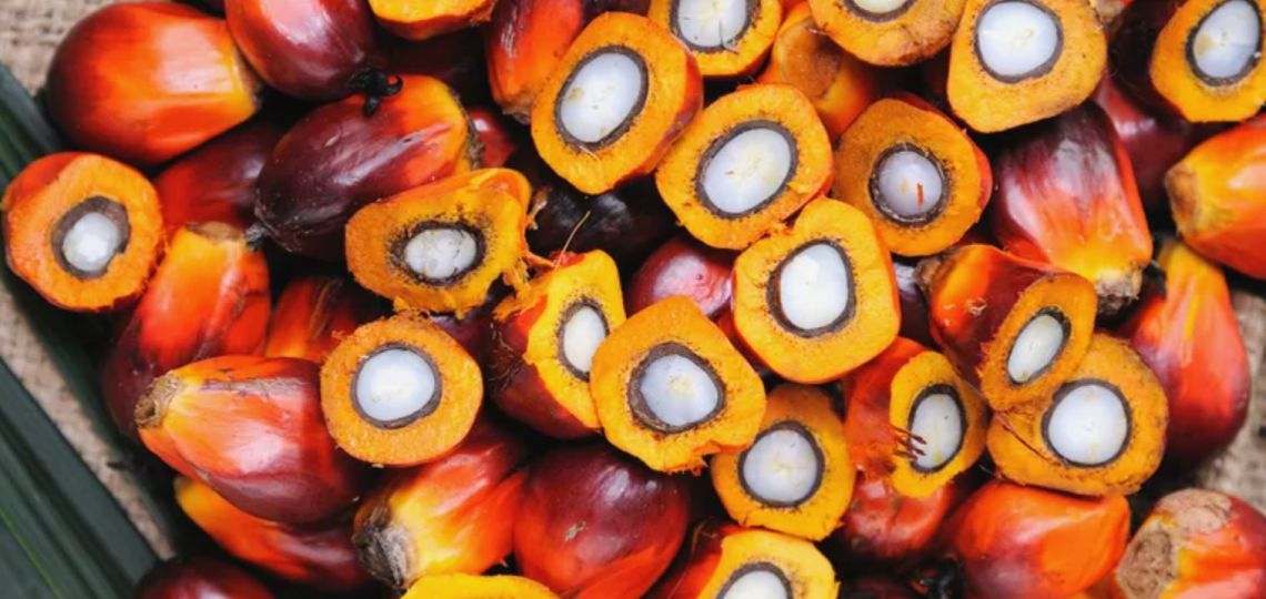 Restricciones de aceite palma: cómo afectará a la cosmética y belleza